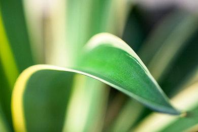 《FC侦探俱乐部 笑脸男》登陆Switch 36年经典全新篇